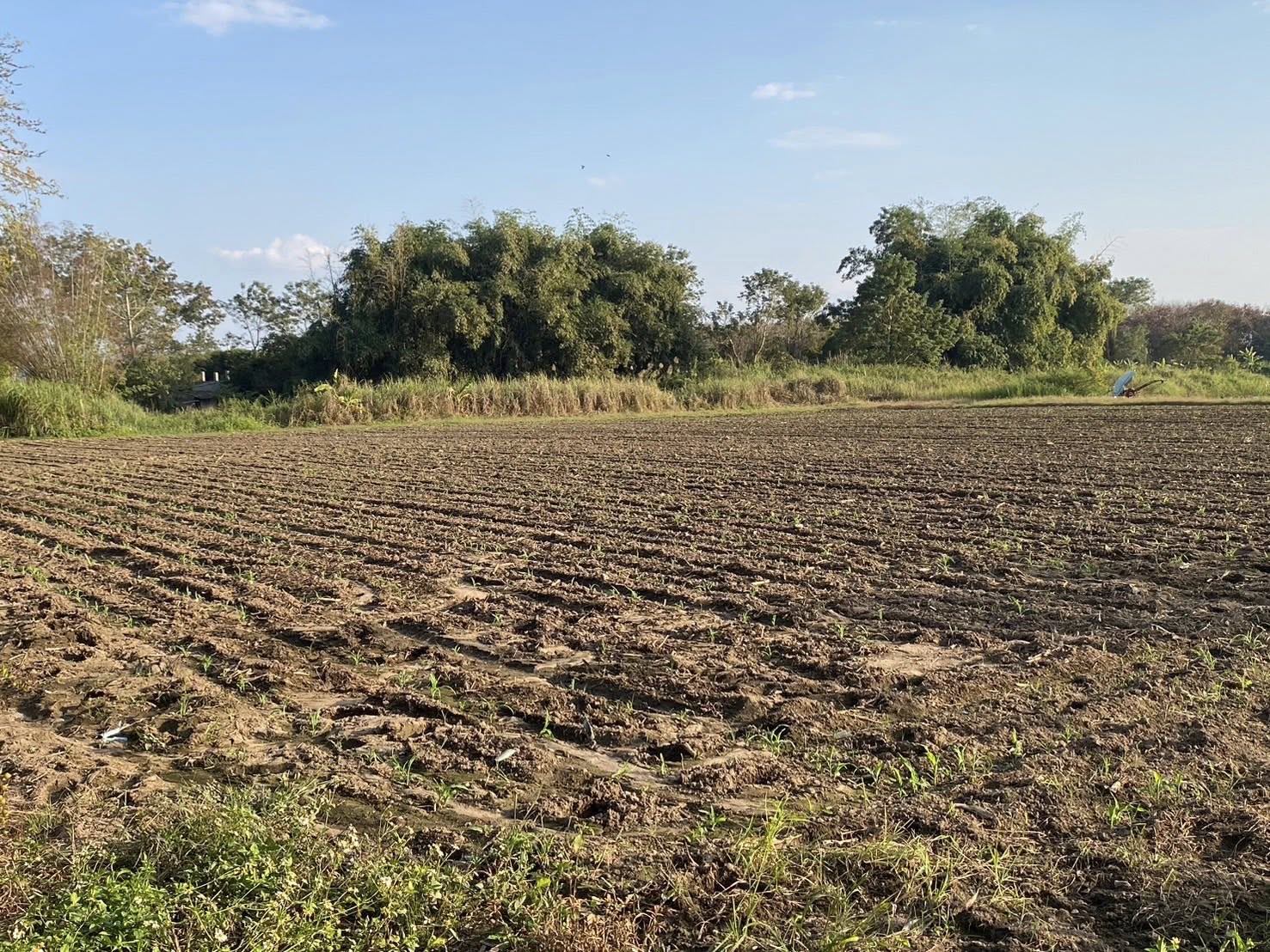 title - หัวหน้าผู้ตรวจราชการ ส.ป.ก. (เขต 3,15 และ 16) ประชุมตรวจติดตามความก้าวหน้าการดำเนินงานตามแผนงานตรวจราชการ ประจําปีงบประมาณ 2569 รอบที่ 1 ณ จังหวัดเชียงราย